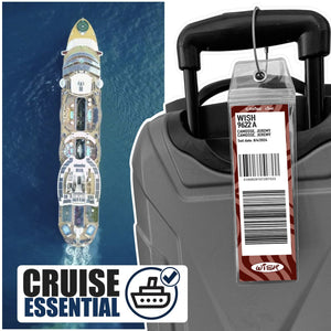 cruise ship luggage tags disney 